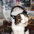 Avatar for Dougie2007