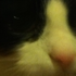 Avatar for poohbur26