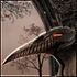 Avatar di Bazoid