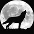 Avatar für leloup146