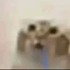 Avatar für sousuo86