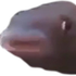 Avatar for CarlosMeredith