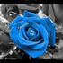 Avatar for ihre_ruhe