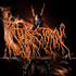 Avatar for bilebitch