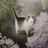 Avatar for hiphipphippo