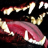 Avatar for caninecryptid
