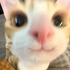 Avatar for LunaNeya