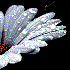 Avatar for Shelly777