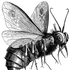 Avatar de Sunny_Sideup
