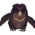 Avatar for drowsydragonz