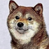 Avatar for PogeDoge