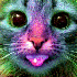 Avatar for HellokityGuy