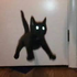 Avatar für BraxenBoi