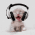 Avatar di Marzy_