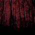 Avatar for Coni__