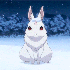 Avatar for Shomi023