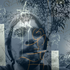Avatar for BasementTapes