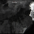 Avatar for Novek79