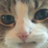 Avatar for zspyry