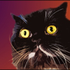 Avatar for stupidlovesongs