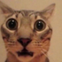 Avatar di lucyzsz