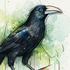 Avatar for Mondegrass