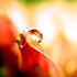 Avatar di Jasmine_SV