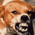 Avatar for reyguns