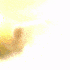 Avatar di jujuvenom
