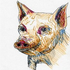 Avatar de lama-obama