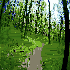 Avatar di vivlotus