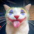 Avatar for suco000