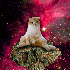 Avatar for Electro_catze