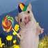 Avatar de ssangie