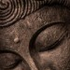 Avatar for dynobot30016