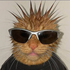 Avatar for mattfrancisyeah