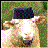 Sheep319 さんのアバター