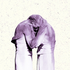 Avatar for Abefinley