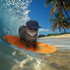 Avatar for thomas_ah