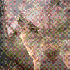 Avatar de Cababacab