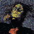 Avatar for angoine