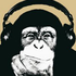 Avatar for jpazen