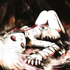 Avatar for lexthehater