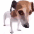 Avatar für lowresdog