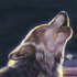 Avatar for Raclir