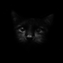 Avatar for ATKPixc-
