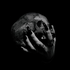 Avatar for Sourlows