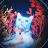 Avatar for hamzapilled