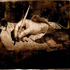 Avatar di Mythabons