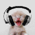Avatar for WaywardLittleMy